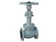  Bellow Globe Valve