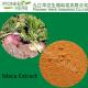 Sex Medicines Product maca root extract powder , 100% Pure Natural maca extract