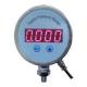 Pressure Gauge PT3082